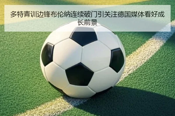 多特青训边锋布伦纳连续破门引关注德国媒体看好成长前景